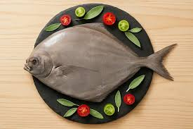 تصویر 1 از ماهی حلوا اهواز با کیفیت و درجه 1